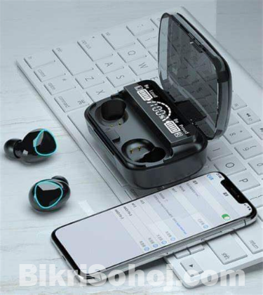 DM 10 Earbuds